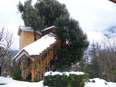 Tree House cottage Manali