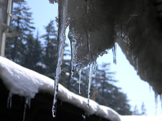 Icicles 