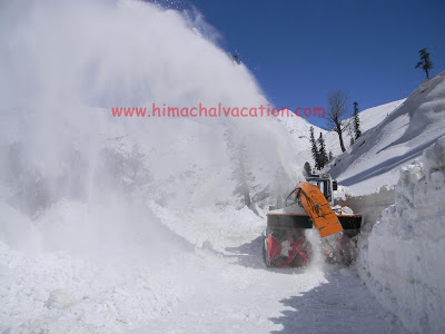 Snow cutter