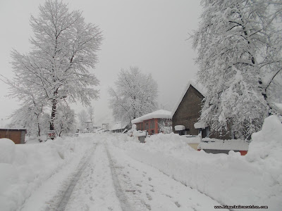 Snowfall in Manali