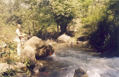 Trout angling