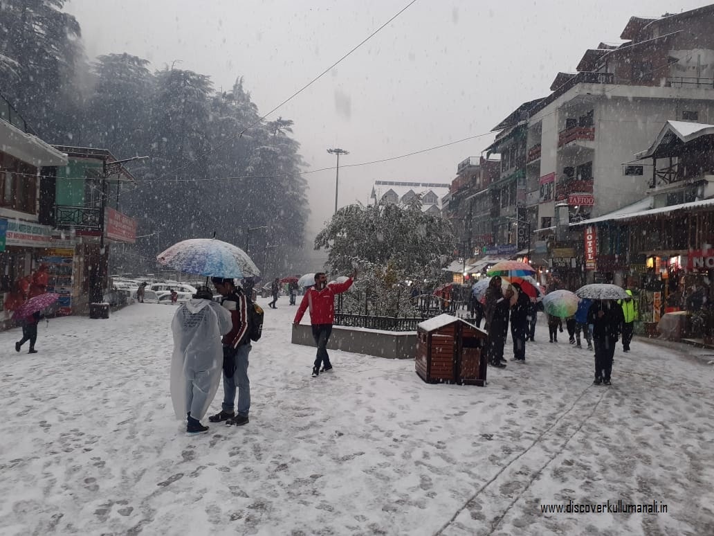 Fresh snowfall in Manali