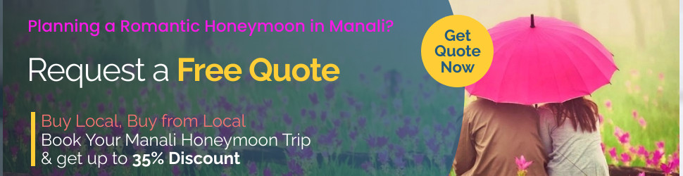 Manali Honeymoon Banner