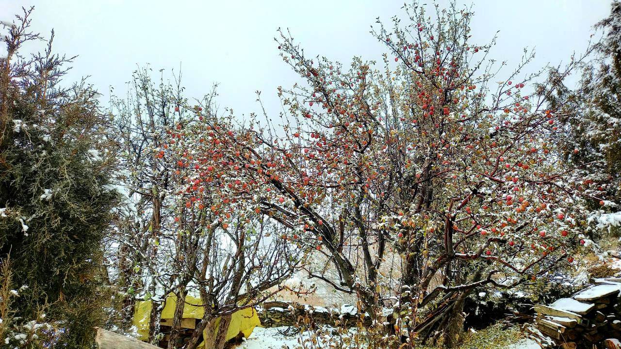 Snowfall in Lahaul valley of Himachal